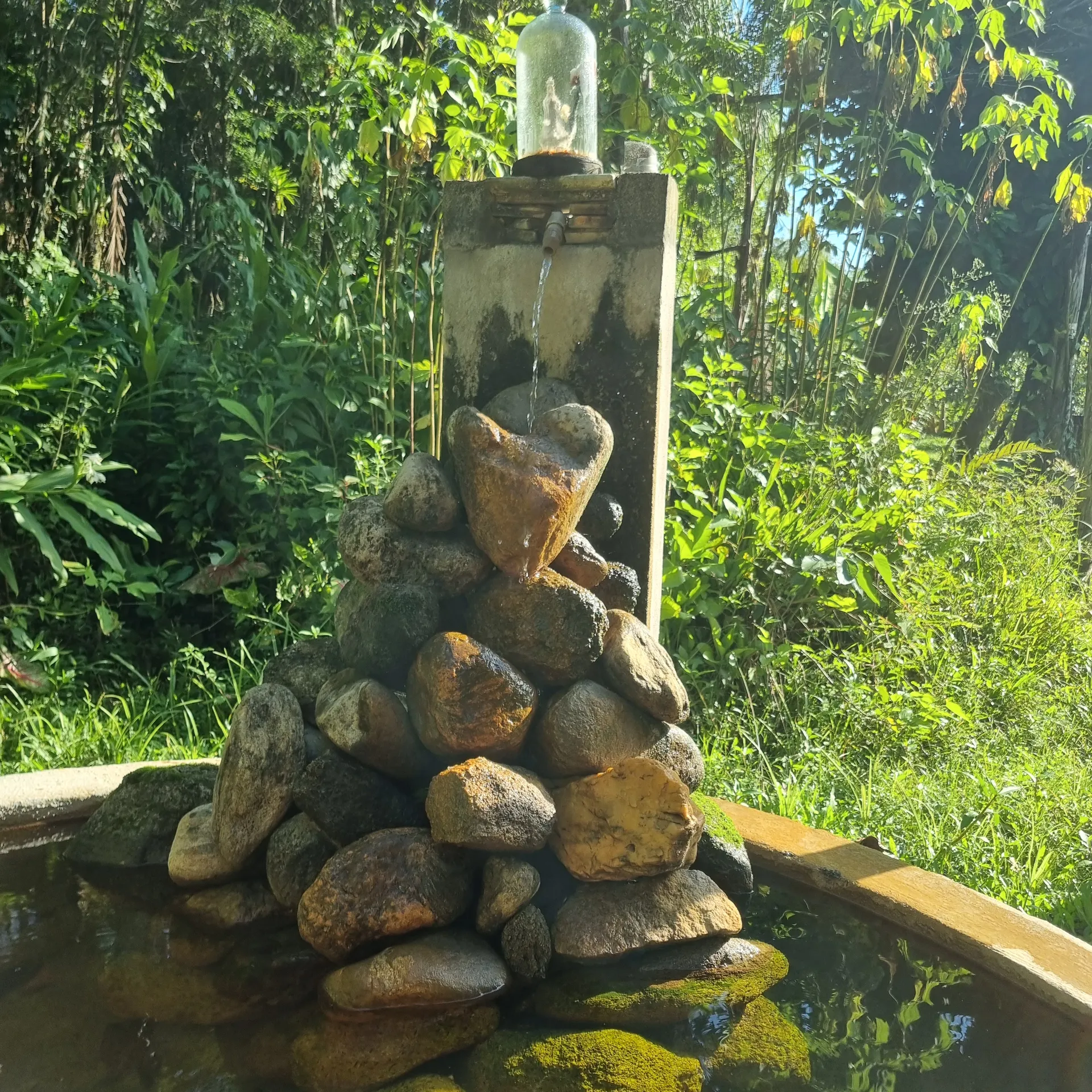 Grupo meditando em círculo em clareira ao amanhecer