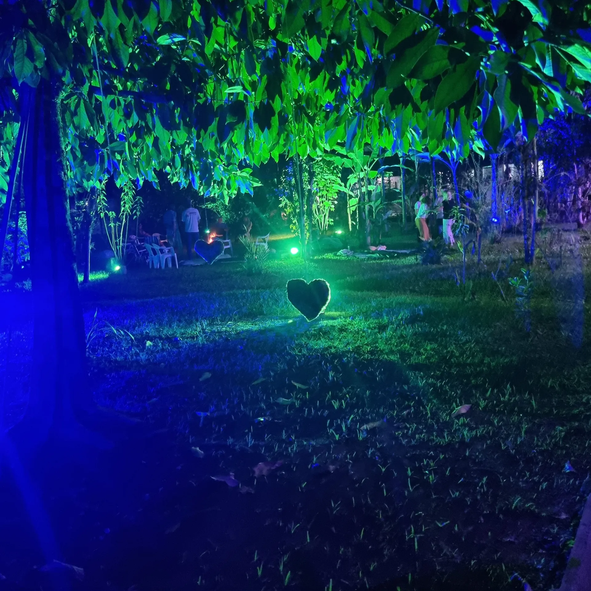 Grupo meditando em círculo em clareira ao amanhecer