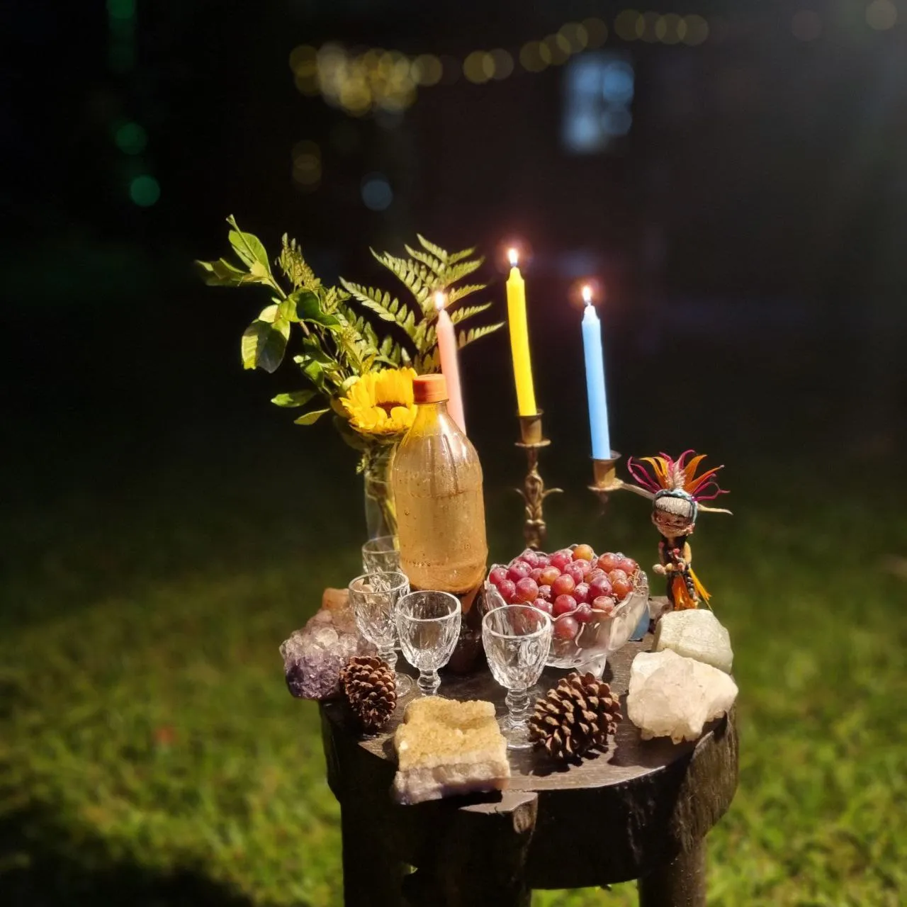 Registro da medicina sagrada Ayahuasca no espaço Jardim das Vertentes