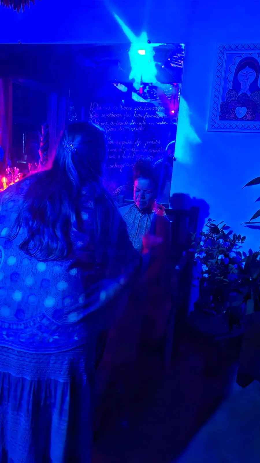 Registro da medicina sagrada Ayahuasca no espaço Jardim das Vertentes