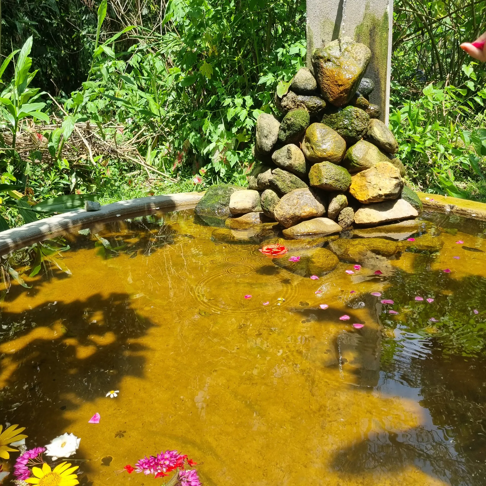 Espaço acolhedor para vivências e terapias em meio à natureza no Jardim das Vertentes.